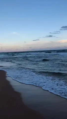 dalam olahraga ice hockey, kontak fisik dan pertarungan antar pemain tidak jarang terjadi. Meskipun ada aturan yang mengatur tentang kekerasan di lapangan, namun ada toleransi tertentu terhadap kontak fisik yang dianggap sebagai bagian dari permainan. Pemain ice hockey sering kali memiliki intensitas emosi yang tinggi saat bermain, dan kadang-kadang pertarungan fisik dapat menjadi cara untuk melepaskan emosi dan menyelesaikan konflik di lapangan. Namun, perlu diingat bahwa ada batasan tertentu dan wasit akan melakukan intervensi jika situasi mulai tidak terkendali. #fyppppppppppppppppppppppp #semogafyp #bismillahfyp #FaktaDunia #icehockey 