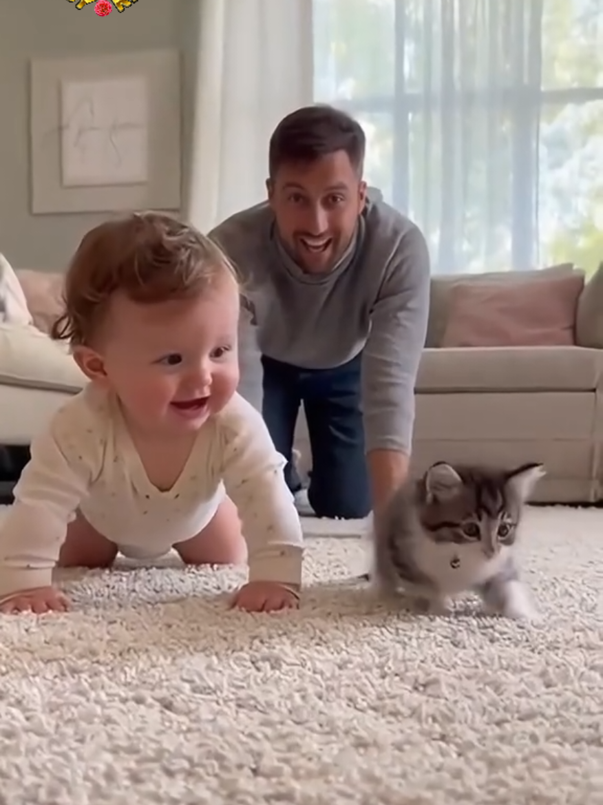 لعب الأطفال مع الحيوانات مع القطط ، اطفال يلعبون ويضحكون , سباق بين بيبي و قطة ، مواقف كوميدية وطرائف مضحكة للأطفال 