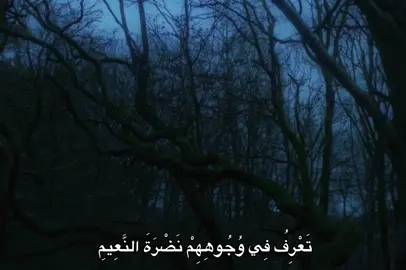 #محمد_صديق_المنشاوي #المنشاوي #fyp #quran #🎧 