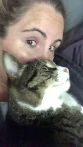 She’s not “a little bit psycho” — she’s the whole damn diagnosis said by my husband. #cat #catparent #catsoftiktok #crazycat #tabbycat 
