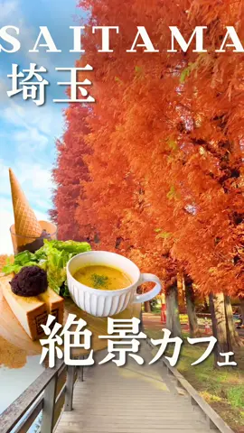 一面オレンジの世界🍁 紅葉の季節に絶対行くべき絶景カフェ🍁 【⚠️2024年12月4日撮影】 『埼玉県民ならフォロー必須！ おしゃれな穴場カフェ満載♡』 👉@saitama_matome ーーーーーーー 『 アナザープレイスカフェ 』 📍埼玉県さいたま市南区別所4-11-17 🕐 営業時間 9:00〜18:00（土日祝 〜21:00） 🚫 定休日：なし（年末年始除く） 🚗 駐車場：あり 🐶 テラス席わんこOK（2階テラス除く） 👶 個室キッズルームあり（予約可能） 🍽…料金・メニュー...🍽 ☑︎ バタートーストとスープのモーニング / ¥880 　（サラダ、スープ、ドリンクバー付） 　＋¥100 小倉あんトッピング ☑︎ ジェラート / ¥429 ———————————— さいたま市の別所沼公園内にある 人気の絶品カフェ「アナザープレイスカフェ」 紅葉の時期は絶景が眺められるため大人気！ （この時期は予約がおすすめ） 2024年は暖冬のため、 やっと紅葉の見頃を迎えました🍁 店内からもテラスからも 紅葉が見えて目の前はオレンジ一色🧡 素晴らしい景色の中でいただくお食事は格別！ 公園内のカフェって 正直期待していなかったのですが とても美味しかったです😋 単なる食パンと思ってたらびっくり！ 外はサクサク、中ふわふわで甘くてびっくり！ バターがジュワーと染み込んでいて 美味しすぎた！！！ 付け合わせのスープも美味しく 満足度かなり高かった🫶 朝9時からオープンしているので、 紅葉の時期は早い時間が空いてるのでおすすめ！ 食後のお散歩も気持ちよく最高でした！ 来年も絶対見にきたいリピ確定カフェでした♡