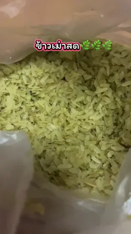 ข้าวเม่าสด#ข้าว#ข้าวเม่า#ข้าวเม่าสด #ของกิน #ข้าวเม่าใจดี  @Rajitkaew  @Rajitkaew  @Rajitkaew 