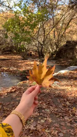 #isomra #fypシ゚ #hasiba💙 😍🍁