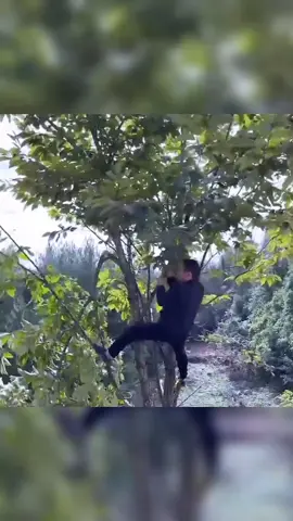 funny fails 🤣🤣 #funny #fail #viral #trending #fyp 