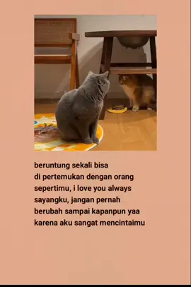 #katakatasedih #katakatabijak #fyp #viral #laguindia 
