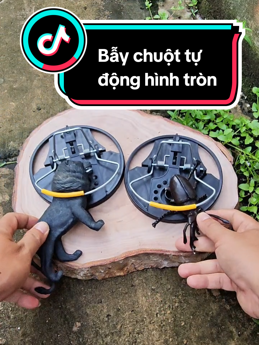 Bẫy chuột tự động hình tròn, dụng cụ bắt chuột hiệu quả, bảo vệ mùa màng, chống chuột quấy phá ở trong nhà.  #baychuotsieunhay #baychuot #baychuottainha #baychuottudong 