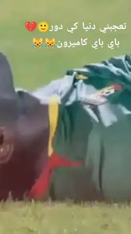 #كاس_العالم  @الكاميرون♦️  @المنتخب الوطني الجزائري 