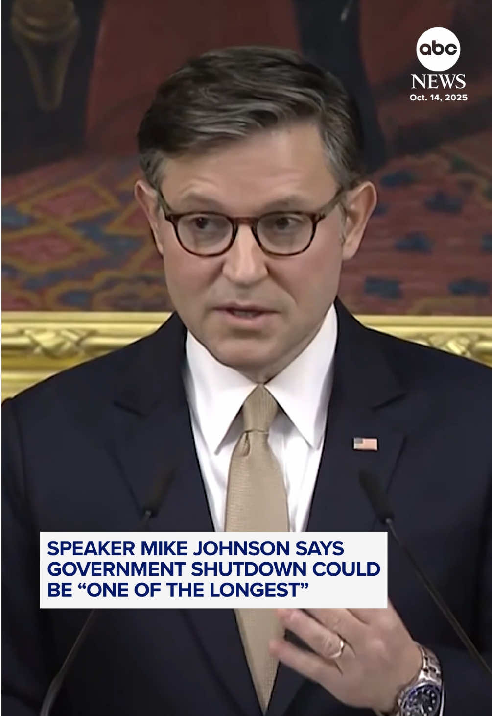 As the government shutdown enters day 14 with no end in sight, House Speaker Mike Johnson warns it could be “one of the longest shutdowns in American history.” #news #governmentshutdown #politics #mikejohnson #congress 