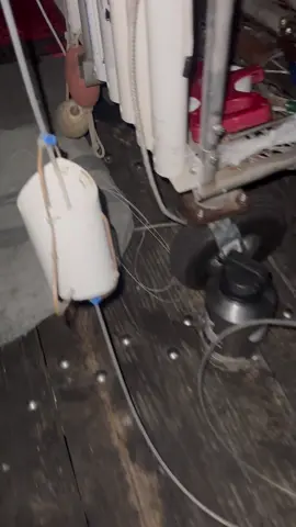 Landed a nice one from the Pier. Tagged and released! #foryou#foryoupage#sharkfishing#fishing#tagandrelease 