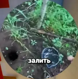 Ежедневные месасики только тут 🥰#рекомендации #юмор #угар #смех #ржака