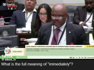 New meaning of immediately  #shadracksibiya #madlangacommissionofinquiry 