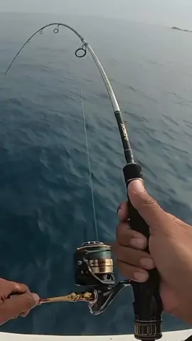 salah satu Rell badak dari daido#daidofishingteam #daido #daidodaimos #mancingmania #fyp 