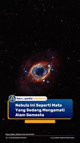 Pernahkah kamu melihat foto luar angkasa yang tampak seperti mata raksasa yang menatap langsung ke arah kita? Itulah Helix Nebula, salah satu objek paling menakjubkan di alam semesta yang sering dijuluki “Eye of God” atau Mata Tuhan karena bentuknya yang menyerupai mata manusia. Helix Nebula terletak di rasi bintang Aquarius, sekitar 700 tahun cahaya dari Bumi. Walau tampak seperti mata raksasa di langit, sebenarnya nebula ini adalah sisa dari bintang sekarat yang berukuran mirip dengan Matahari kita. Saat bintang tersebut kehabisan bahan bakar nuklirnya, ia melepaskan lapisan gas dan debu ke ruang angkasa. Gas-gas itu kemudian membentuk pola melingkar yang indah dan berwarna-warni. Bagian tengah nebula tampak biru terang karena panas yang dipancarkan oleh inti bintang yang tersisa, disebut katai putih (white dwarf). Sementara warna merah, oranye, dan ungu di sekelilingnya berasal dari gas hidrogen, oksigen, dan nitrogen yang berinteraksi dengan radiasi dari bintang pusat. Hasilnya? Pemandangan kosmik yang tampak seperti sepasang mata yang menatap dari kedalaman alam semesta. Selain indah, Helix Nebula juga menjadi pengingat tentang siklus kehidupan bintang. Bahwa setiap akhir bahkan kematian sebuah bintang bisa menciptakan bentuk dan keindahan baru di jagat raya.