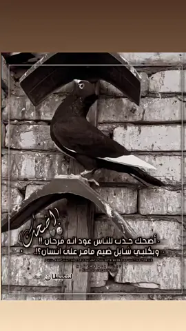 #المصمم؛عزرائيل #صعدو #. . . . . . . #@عيال الصكباني 