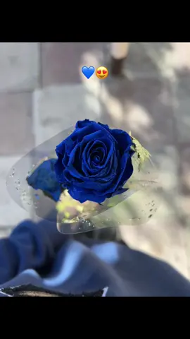 💙😍😍 #maviqızılgüllər #keshfett #keşfet #fyppppppppppppppppppppppp 