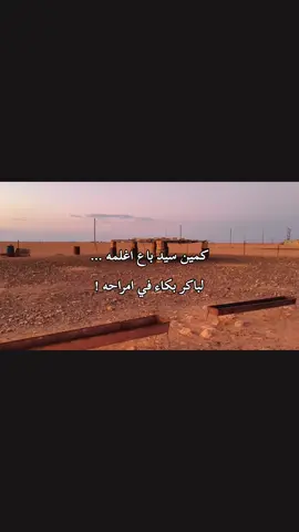 ودرو اطعمتها 💔👋 #طارق_القطعاني #الشعب_الصيني_ماله_حل😂😂 #شعب_الصيني_ماله_حل😂😂 