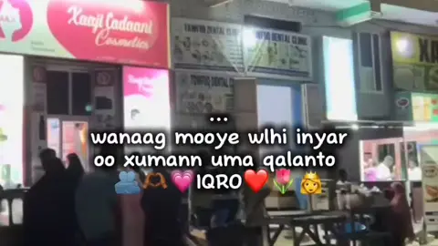 iQrro🫶🏽🫂🌷👸🏻❤️ #shiikh__ #pyfツviral_❤ #somalitiktok12 #fypviralシviral #fypシ゚ 
