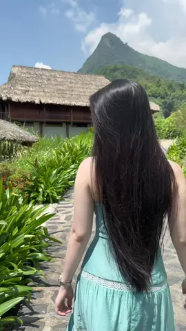 Bỏ 1 tháng lương để được ngắm trọn view ở đây 1 ngày 😅 #sapa #topasecolodge 