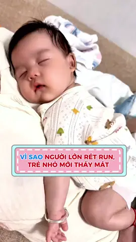 Ba mẹ có biết vì sao người lớn rét run trẻ nhỏ mới thấy mát ? #hạnhphúcnhỏ #chamcon #mẹvàbé #cutebaby #tuongtac #embedethuong 
