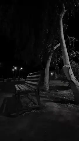 #يعوضني_الدمع_وانه_الخسرت_هواي #اكسبلورexplore 👍🏻