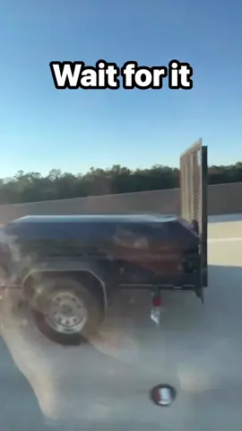 Well now ! #cg19840 #fyp #squirrel #transport #catchmeoutside 