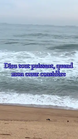 Que tu es vraiment Grand Seigneur 🙏#catholic #universe #tiktoktogo🇹🇬 #avemaria🙏 #tiktokviral @IGOR DAKLOUMEGAN @Elodie de la Binah🥰 @Juliette❣️ @Steven Af 