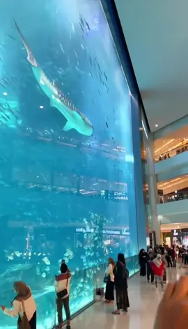 Aquarium Pecah basahin seluruh mall😱