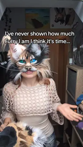 What do you think is all that stuff worth overall?! :P I am european so this makes all this stuff more expensiv cause I hade to pay so much for shipping  😔👍 #furry #therian #furrsuits #alterhuman #furrytherian 