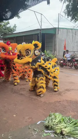 Đoàn lân sư rồng hưng nghĩa đường #xhuong #doanlanmini 