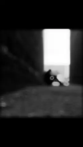 #عيش وحدك #حزن  #جسد_بلا_روح #الشعب_الصيني_ماله_حل😂😂 #متابعه_ولايك_واكسبلور_فضلا_ليس_امر 