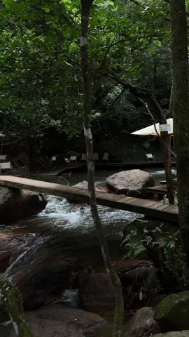 I love this time #nature #healing #Love #fyp 