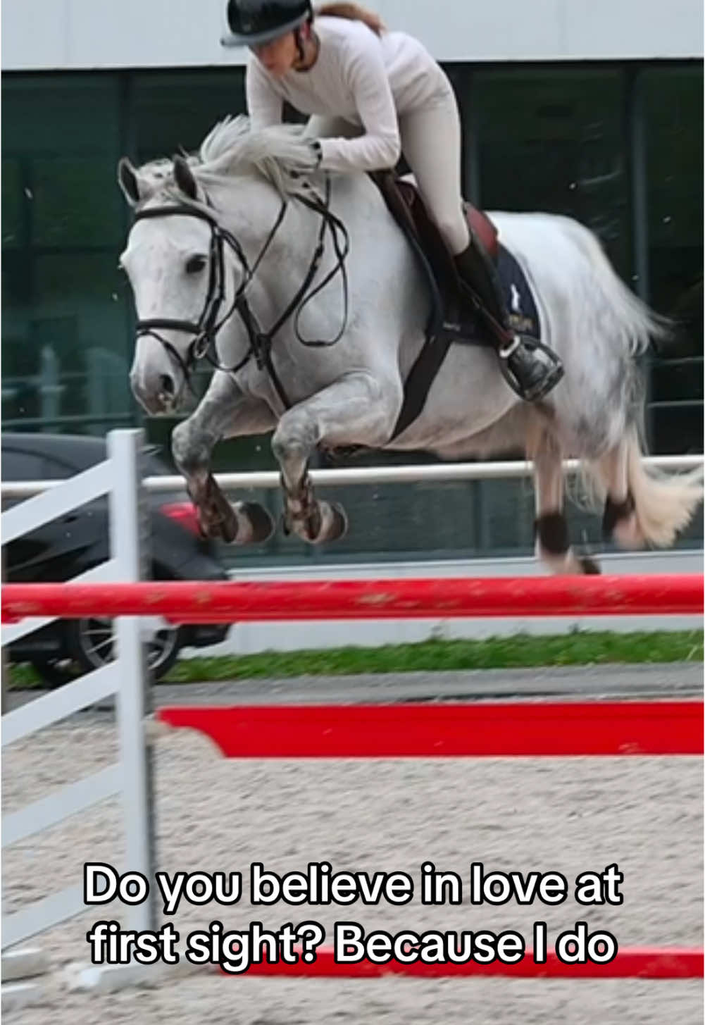 So impressed by this 6YO jumper. The videos and picture don’t even do him justice, he is so pretty. And can we gush over the jump. His next owner is going to be lucky. Raise your hand if you want him #horse #equestrian #horsetok #hunterjumper #showjumping #warmblood #showjumper 