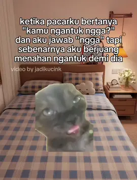 secuil perjuangan🤏🏻😔 #memekucing #catmeme #memestiktok #viraltiktok  #masukberanda 