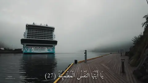 لايك وفولو 🤍📍 .  يَا أَيَّتُهَا النَّفْسُ الْمُطْمَئِنَّةُ (سورة الفجر) #القارئ#ماهرالمعقلي#قران#quran  #اكتب_شي_توجر_عليه 