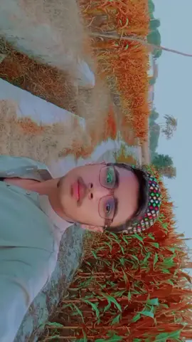 #creatorsearchinsights #سنکت_ویڈیو_کوویرل_کریسو_آپ_ہیں🥀🌼 