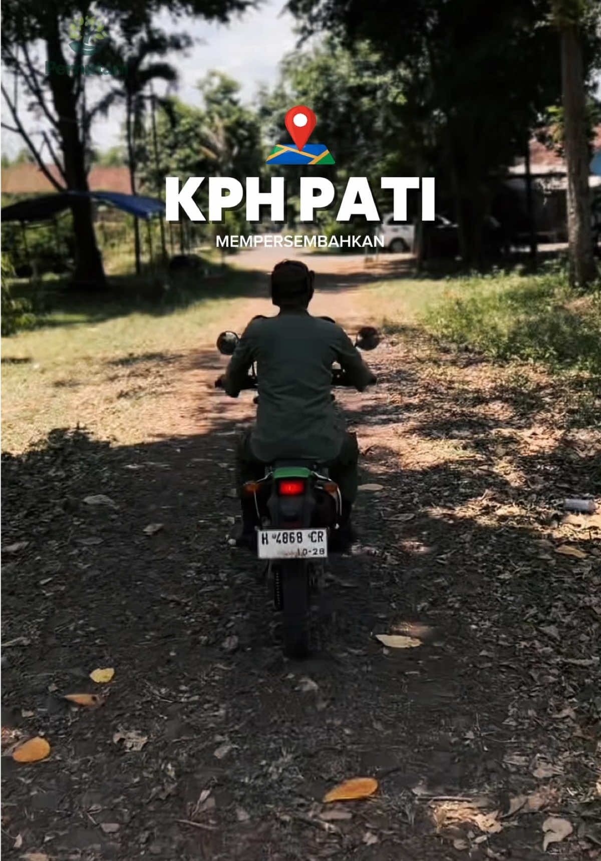 HUTAN AMAN, BUMI NYAMAN 🌴 #perhutani #budayarisikopht2025 #bumn #perhutanidivrejateng #pati 