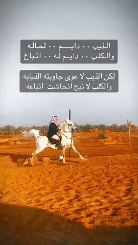 #فلسطين_أحساس_شاعر_لايك_فضلآ_وليس_أمرآ 