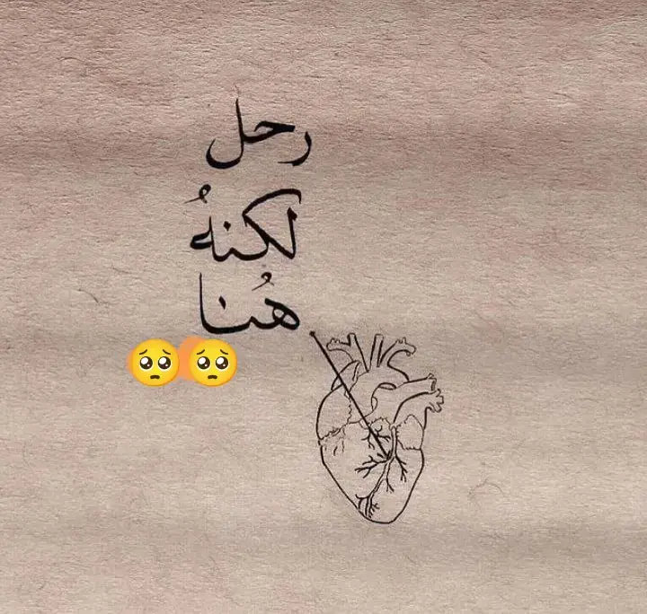 من أعنف ما جاء في الادب: رأيت في منامي أن يدي اليمنى ستبتر ... بقيت أشهر أتدرب على استخدام اليد اليسرى.... مازلت أملك كلتا يداي .. لكنني فقدت أخي 💔😔  رحمك الله واسكنك فسيح جناته..الراحل الحي #الشوق_للميت_يُميت #رحيلك_كسرني_يا_اخي💔 #مشاري_راشد_العفاسي #كم_راحل_في_القلب_حي  #fyppppppppppppppppppppppp @مشاري راشد العفاسي 