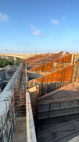 Đến Đánh Công 15 ae. Mà chủ đuổi về 1 nữa #dailoan #banmodailoan #viral #duhocsinhdailoan 