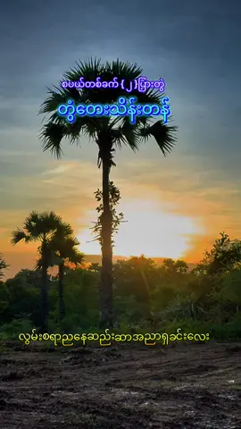#စပယ်တစ်ခက် #တွံတေးသိန်းတန် #အညာမြေရဲ့အနုပညာ #fypပေါ်ရောက်စမ်း 