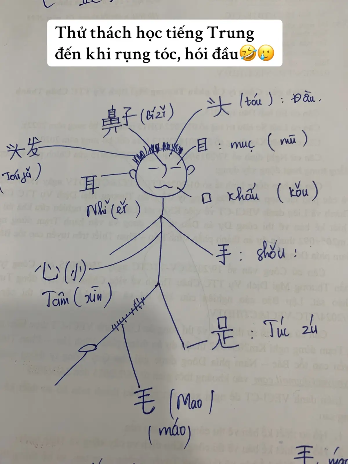 Thực hiện thử thách 🤧🤧🤧 #mupmup #bacogiahoctiengtrung #学习中文 #汉语 #Hoctiengtrung 