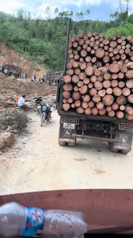 Qua lần nào cũng bị thu phí đấy thôi