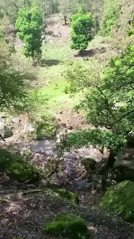 #جندوبة🌿♥️ #تونس__الجزائر #فلسطين🇵🇸 #تونس_المغرب_الجزائر #الشعب_الصيني_ماله_حل😂😂 