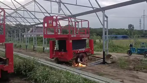 #greenhouse 