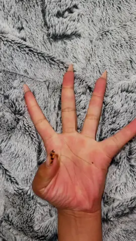 Nail cam🐆💋 #mellissa_khumalo #nailart #nailinspo #fyp #influencer 