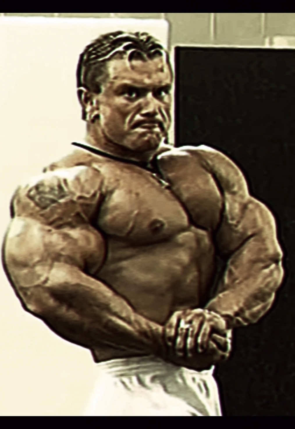 the third twin. ll #gym #gymedit #leepriest #fyp 