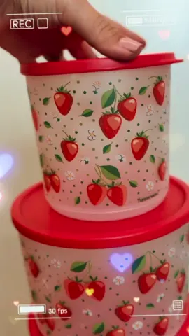 PDA 12 antecipado  Refri Line Morango🍓🍓🍓 😍EXCLUSIVO😍 Consultora Tupperware  Vem Lucrar Com a Tupperware!!! 🔗link de cadastro nos comentários  #tupperwarebrasil #tupperwareoriginal #tupperware #tupperwarebrands #consultoratupperware 
