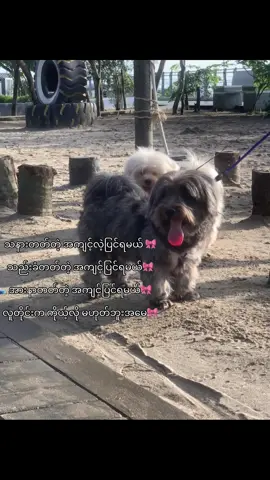 #fyppppppppppppppppppppp #fypシ゚ ❤️‍🩹