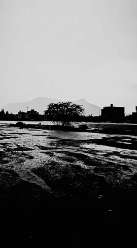 لما ترتفع اصحابك بيعرفوا مين انتي🙂👍👍#سوريا #تركيا #العراق #مصر🇪🇬 #السعودية 