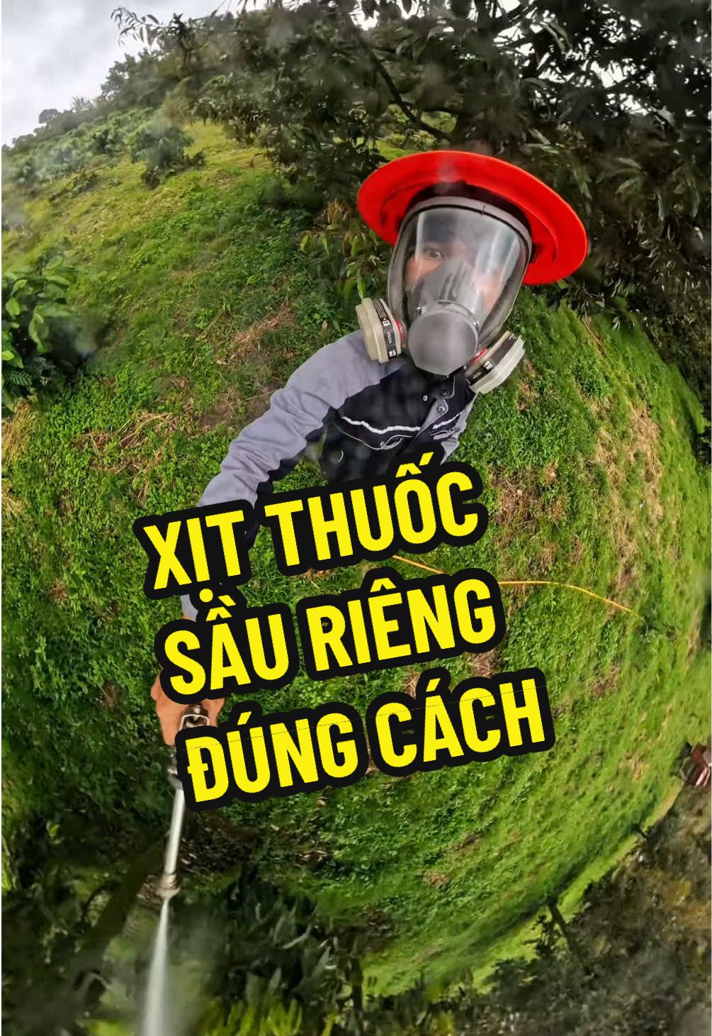 Mặt nạ bảo hộ full mặt 6800 cho anh em đi xịt thuốc hoặc những môi trường có nhiều tác động có thể ảnh hưởng tới khuôn mặt,đây là bản thường sau 3-6th anh em có thể thay pin lọc mới chất lượng hơn nếu không đủ tin tưởng phin lọc này anh em nhé#nguyenotaynguyen #matnaxitthuoc #matnaphunthuoctrusau #matnaphongdoc #matnaphunson 